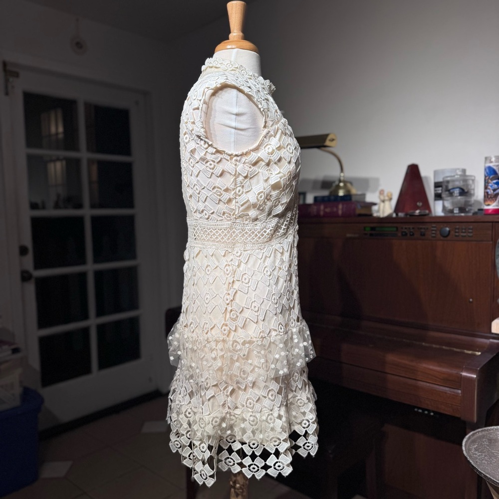 Romeo & Juliet Couture Cream Lace Mini Dress - Picture 3 of 12